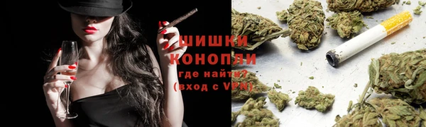 сатива Горнозаводск