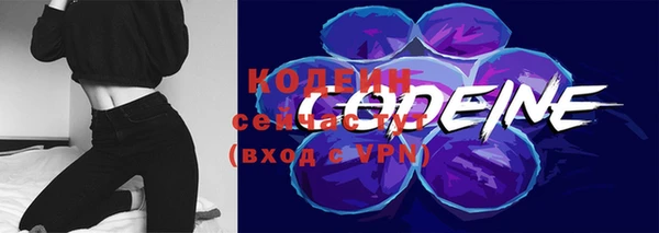 винт Вяземский