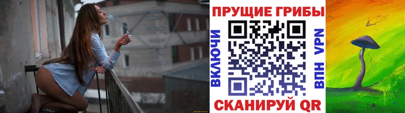 мориарти формула  где найти наркотики  Тейково  Псилоцибиновые грибы GOLDEN TEACHER 