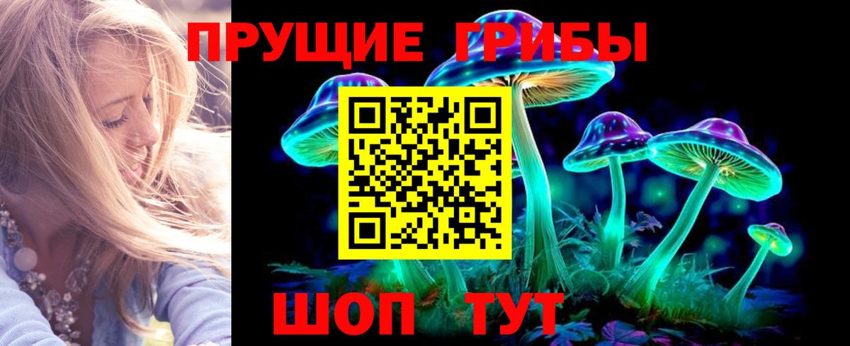 Тейково  Псилоцибиновые грибы мицелий  Вход с VPN 